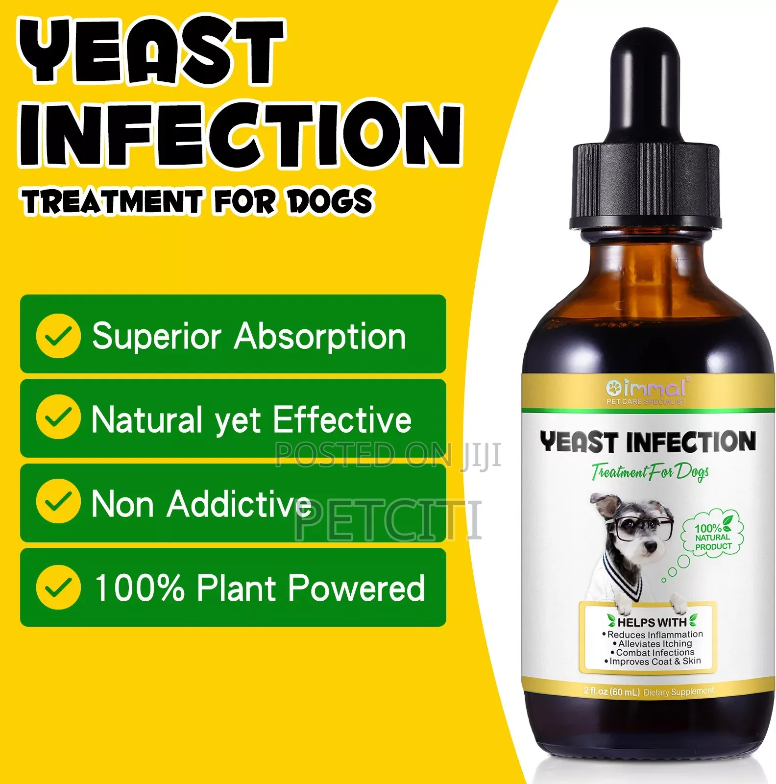 Dog Yeast Infection