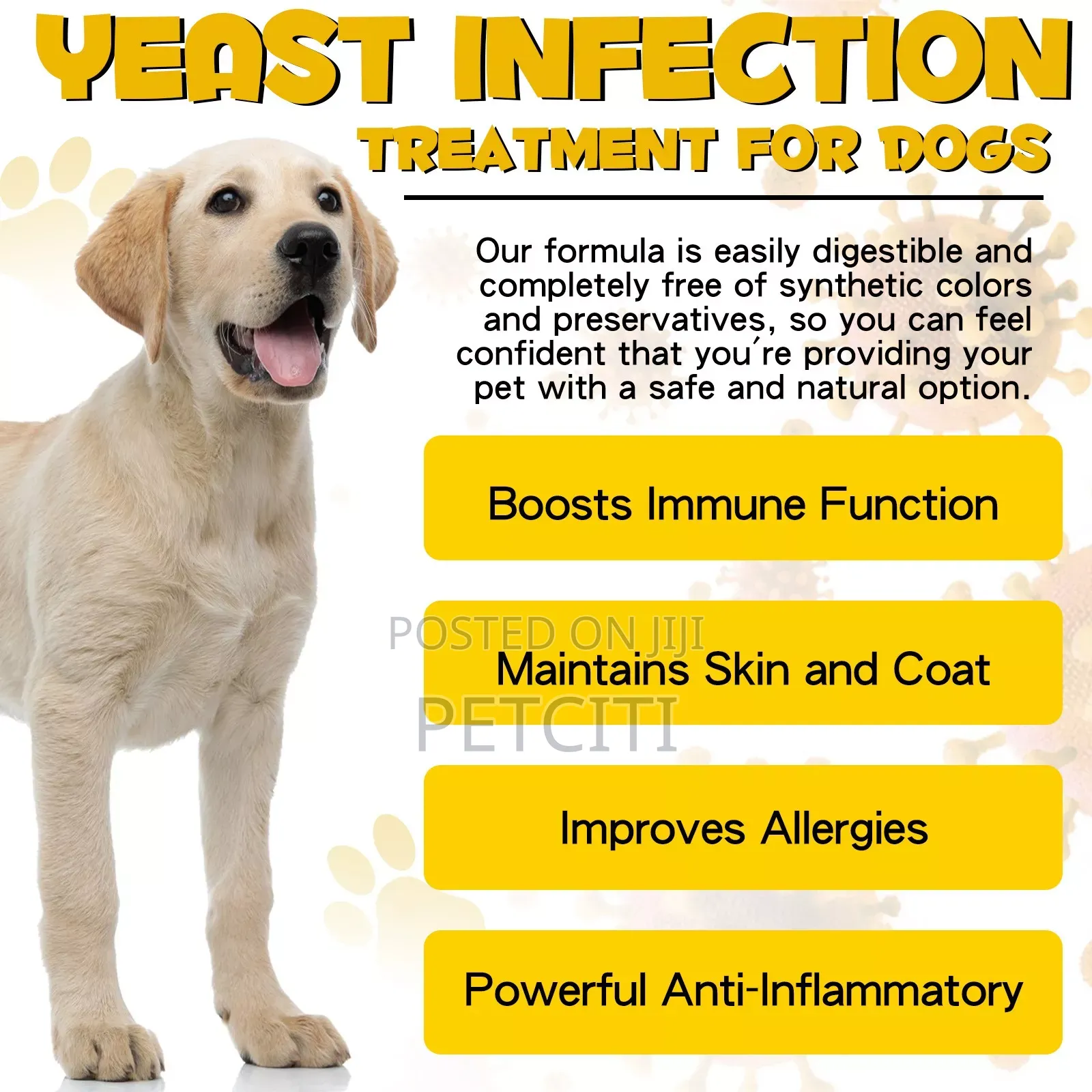 Dog Yeast Infection