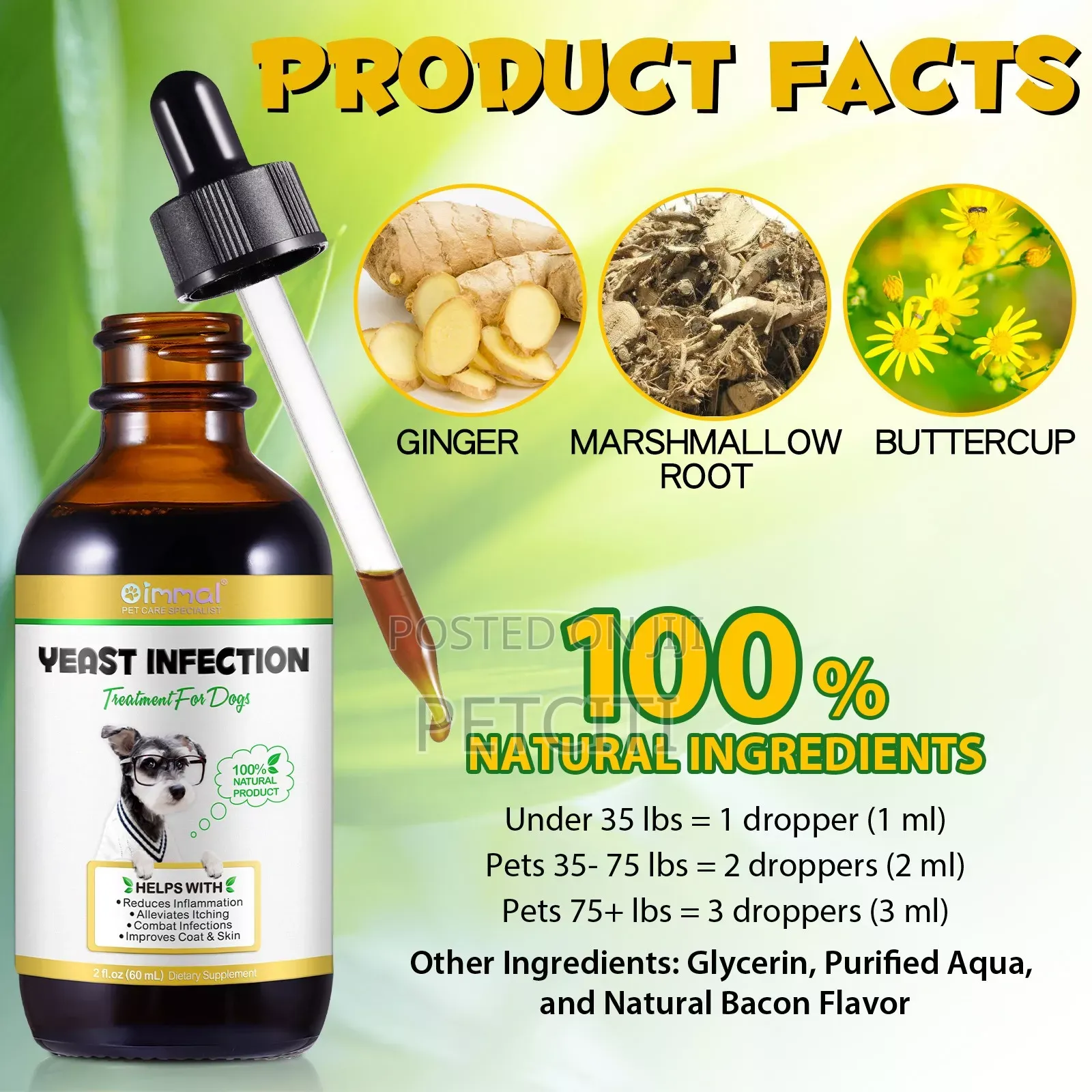 Dog Yeast Infection