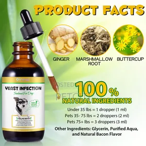 Dog Yeast Infection