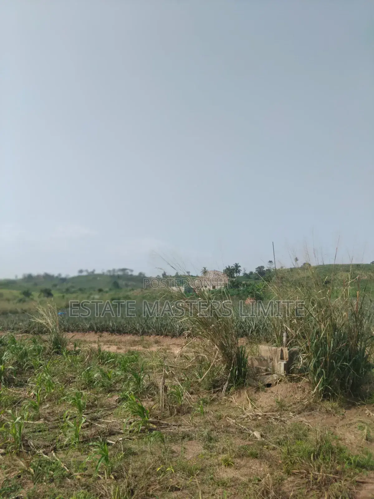 Estate Community Lands for Sale at Dominase 10% Discount