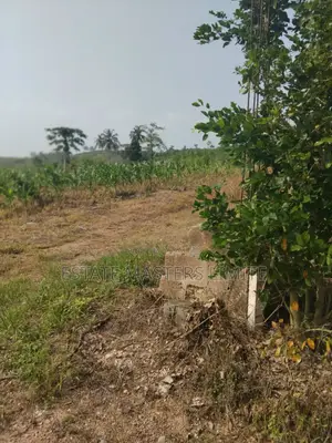 Invest in Your Dreams Prime Land for Sale