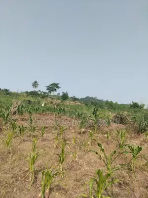 Build Your Future Residential Lands for Sale at Dominase 10%