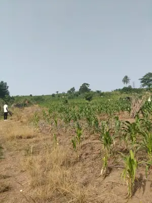 Build Your Future Residential Lands for Sale at Dominase 10%