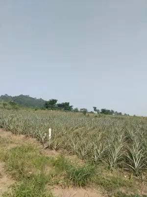 Mountain Retreat Land for Sale With Panoramic View