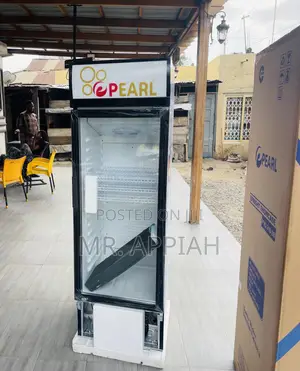 Choose Original Pearl PVC-315-2b 1 Door Beverage Cooler
