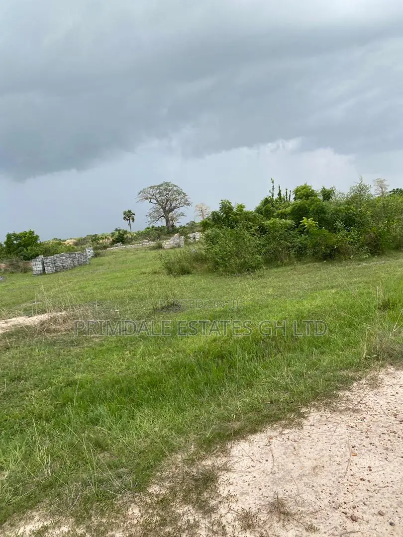 Affordable Residential Lands for Sale at Afienya