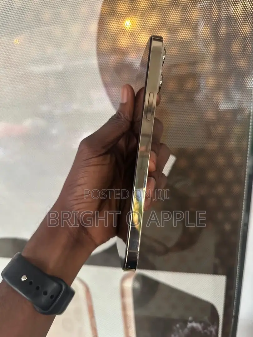 New Apple iPhone 13 Pro Max 256 GB Gold