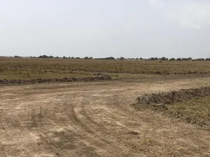 Buy a Genuine Estate Land With a Good Road Network