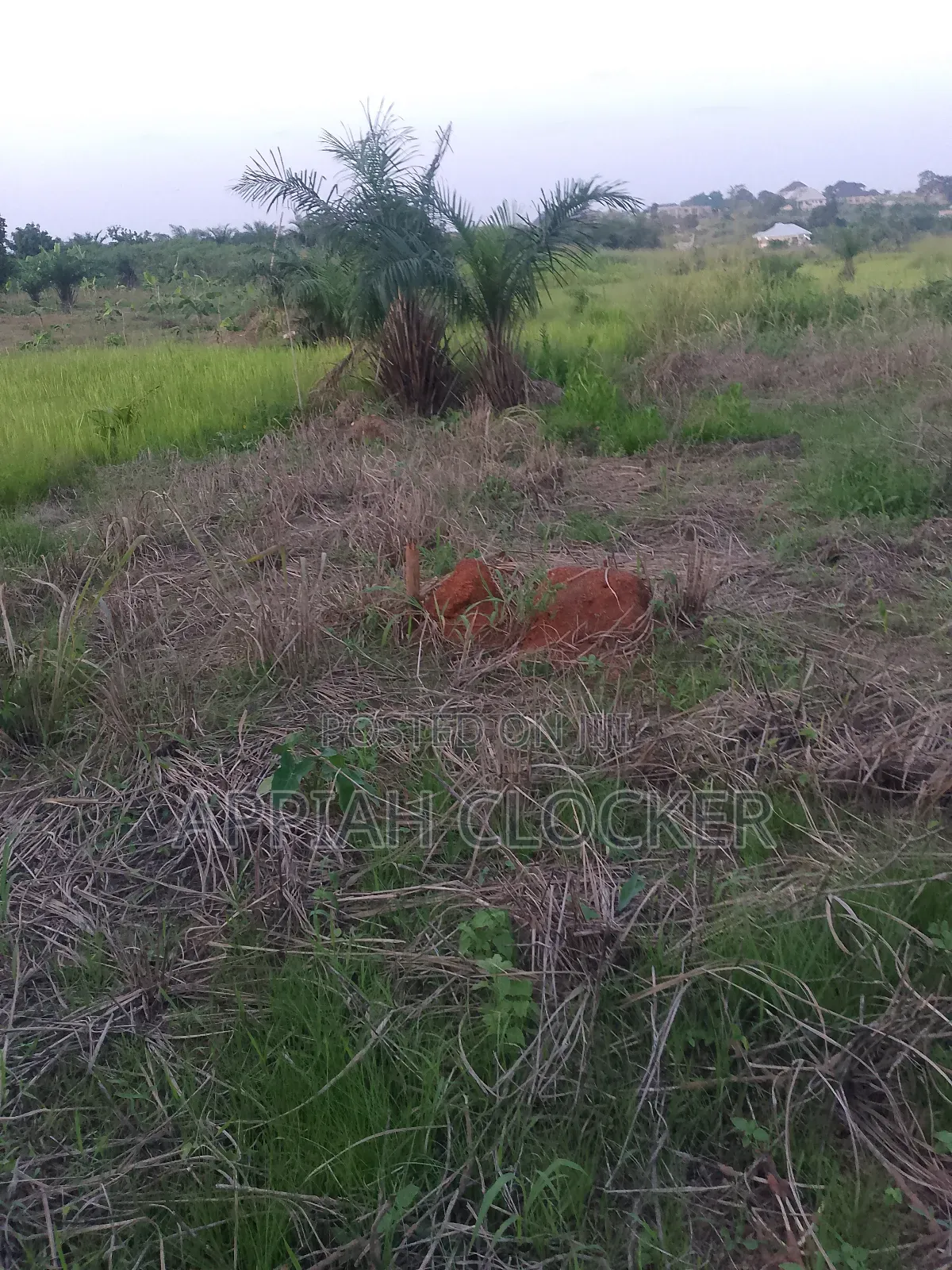 Land for Sale at Pakyi No 1