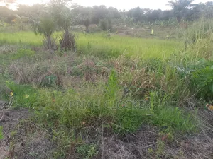 Land for Sale at Pakyi No 1