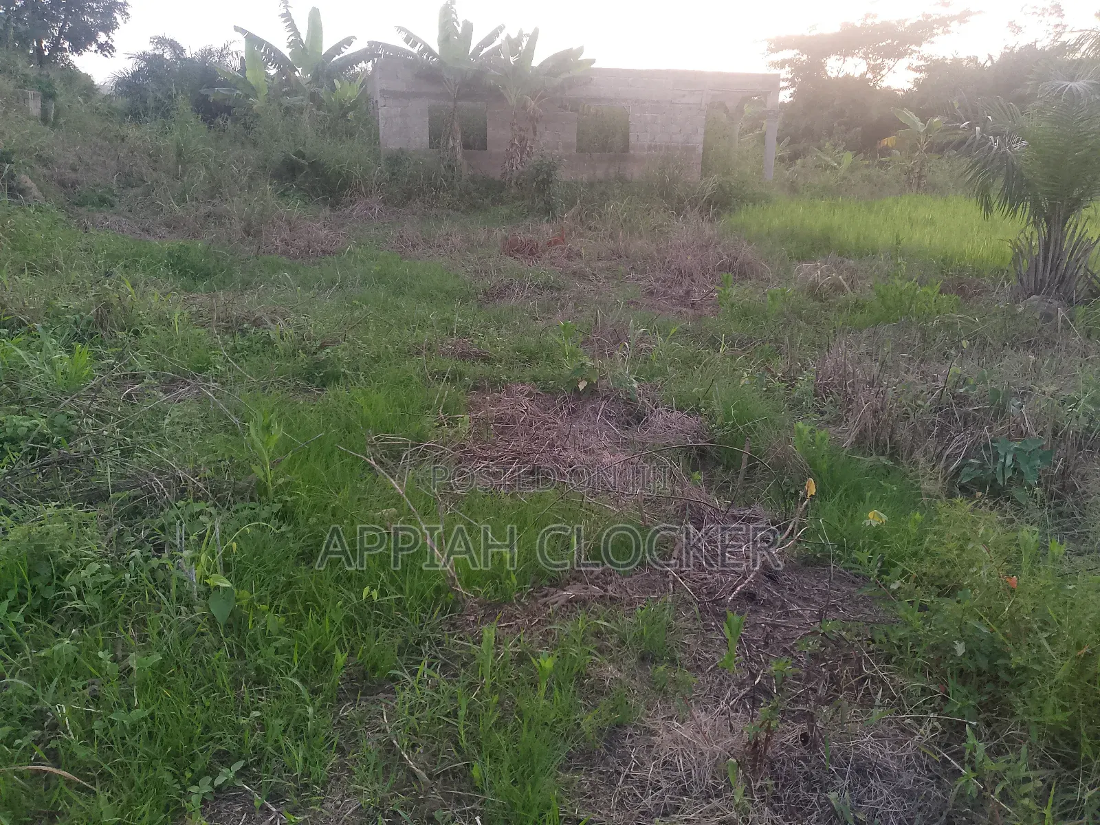Land for Sale at Pakyi No 1