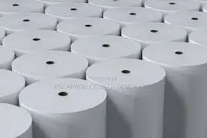 Thermal Paper Roll 80mm (Box of 50 PCS (Esc) Xmas Promo