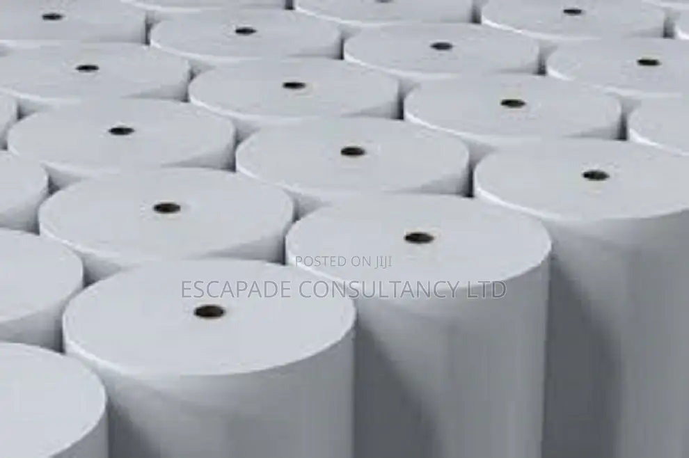 Thermal Paper Roll 80mm (Box of 50 PCS (Esc) Xmas Promo