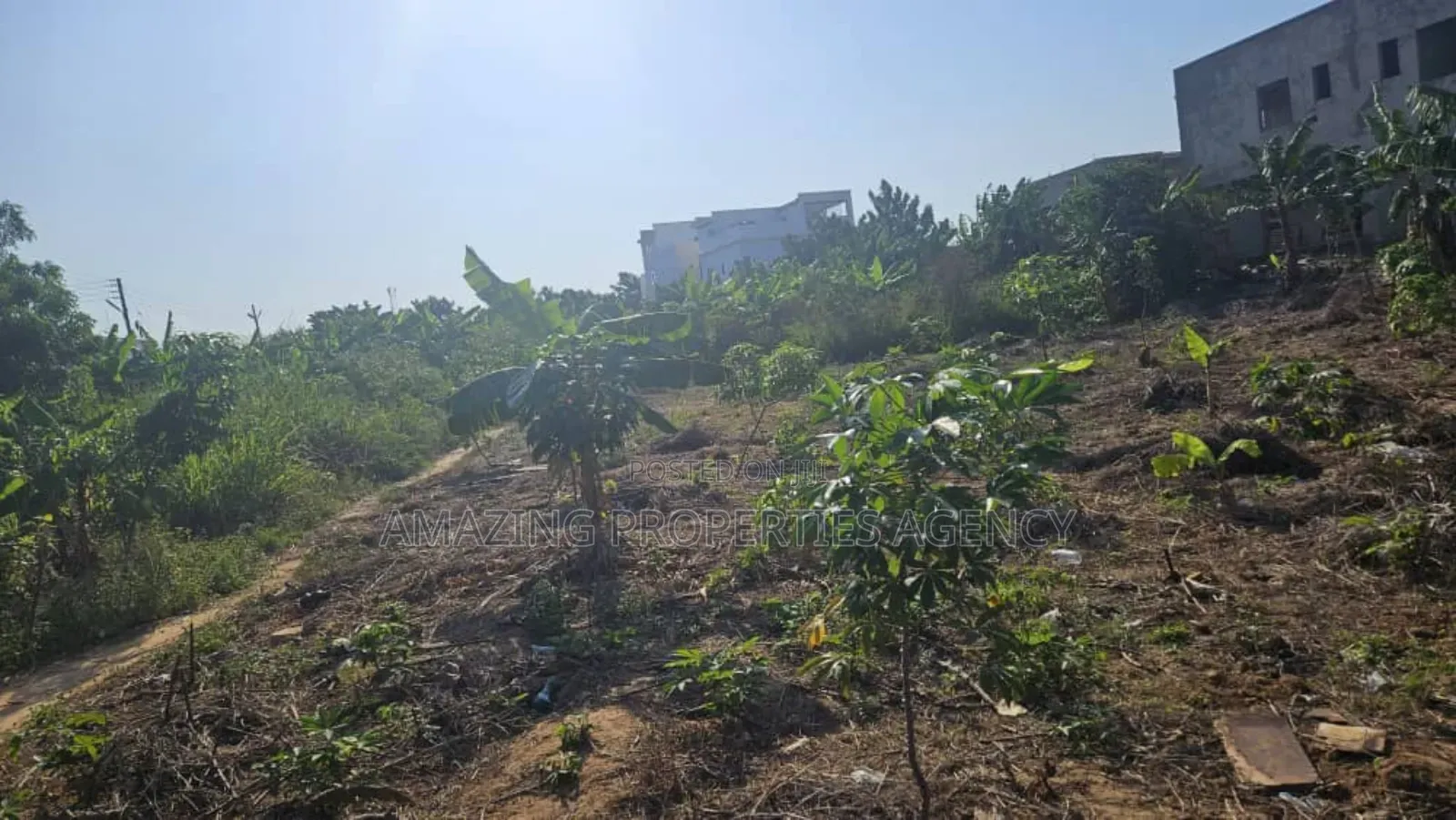 2.78 Acres of Land at Tema
