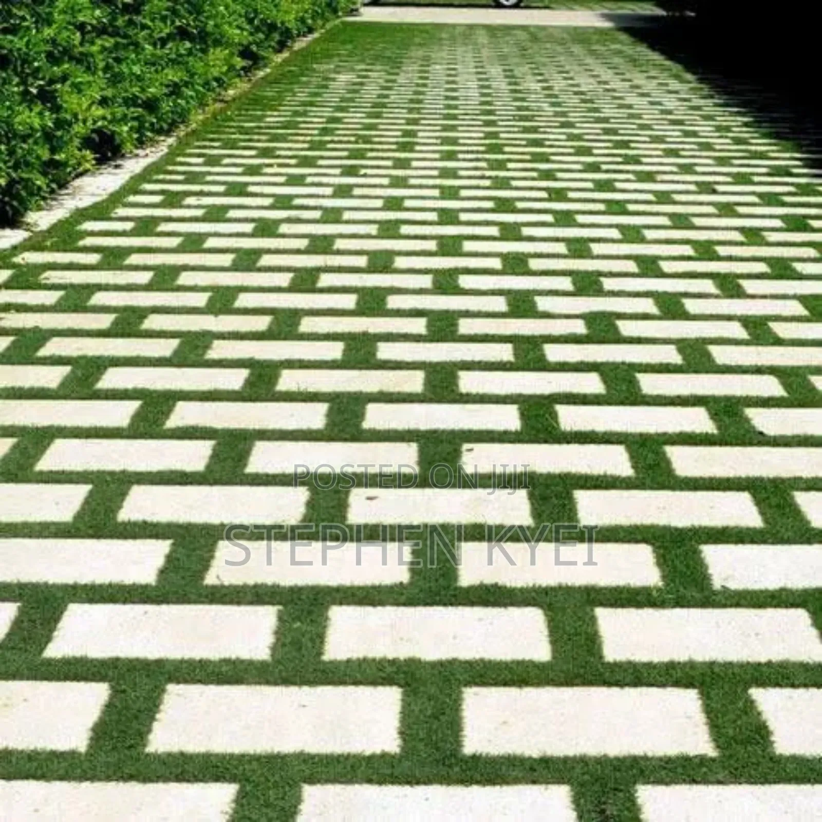 Home Used and Brand New Artificial Grass Carpet