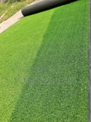 Home Used and Brand New Artificial Grass Carpet