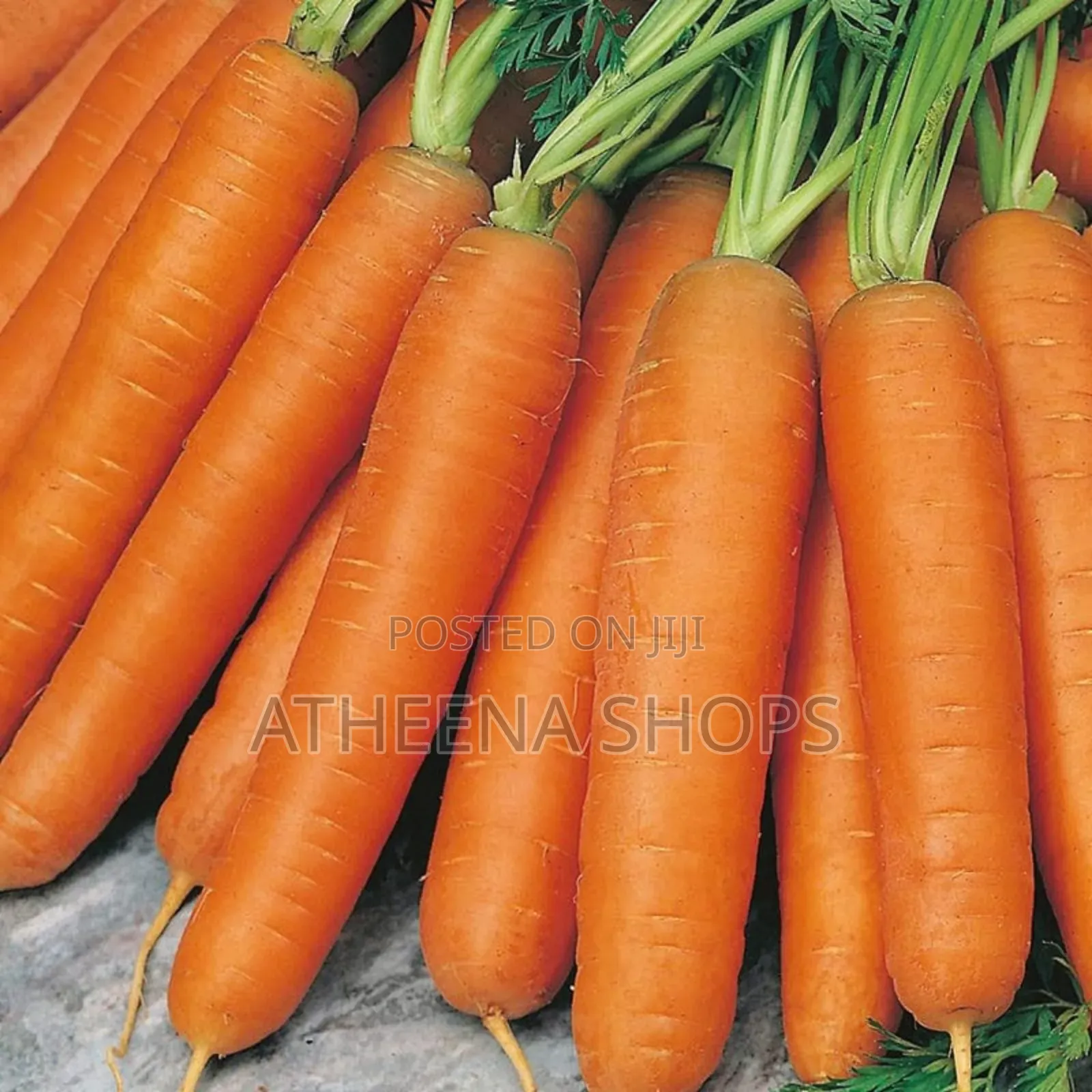 Sweet Carrot Nantaise Seeds