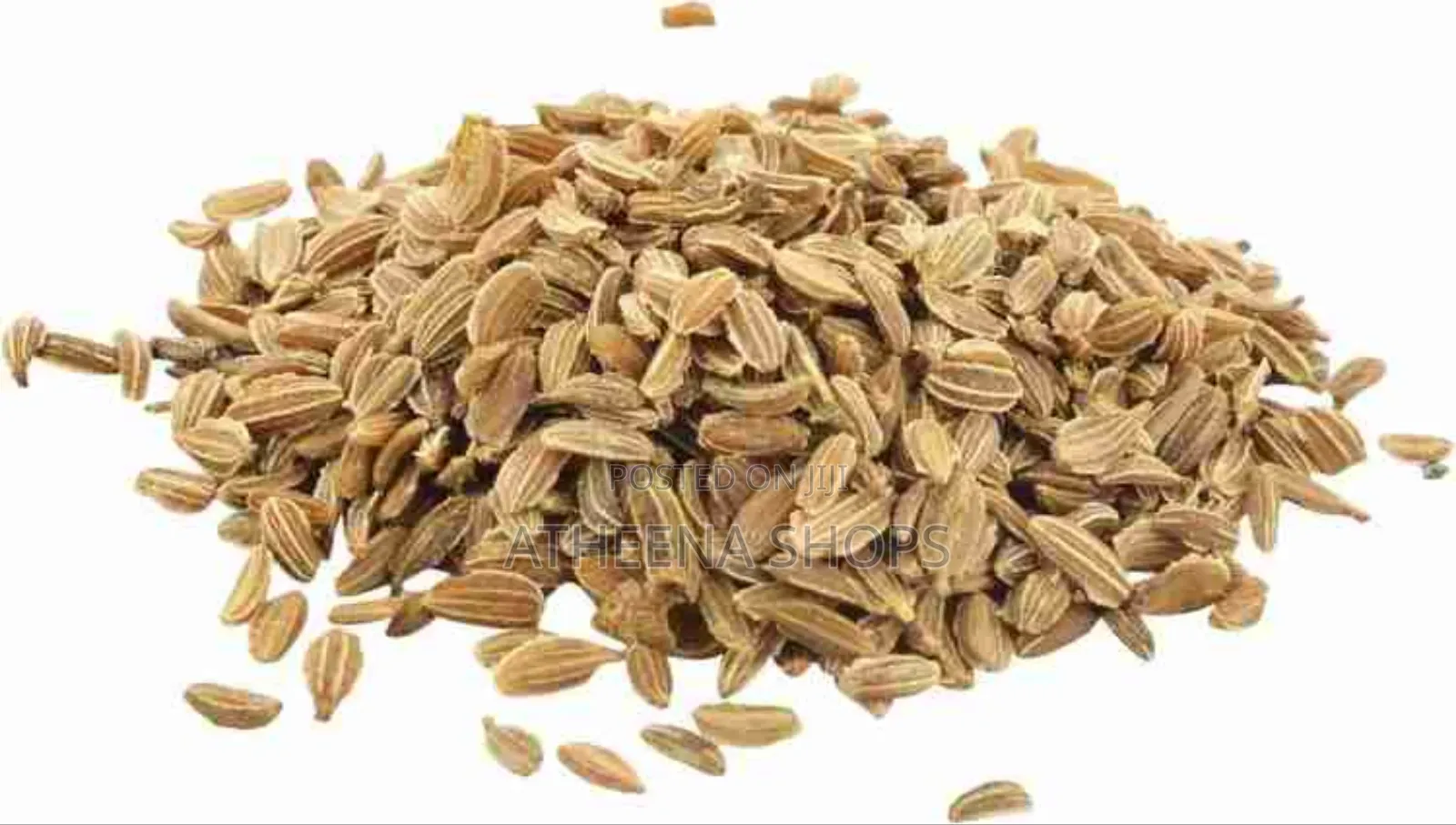 Sweet Carrot Nantaise Seeds