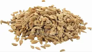 Sweet Carrot Nantaise Seeds