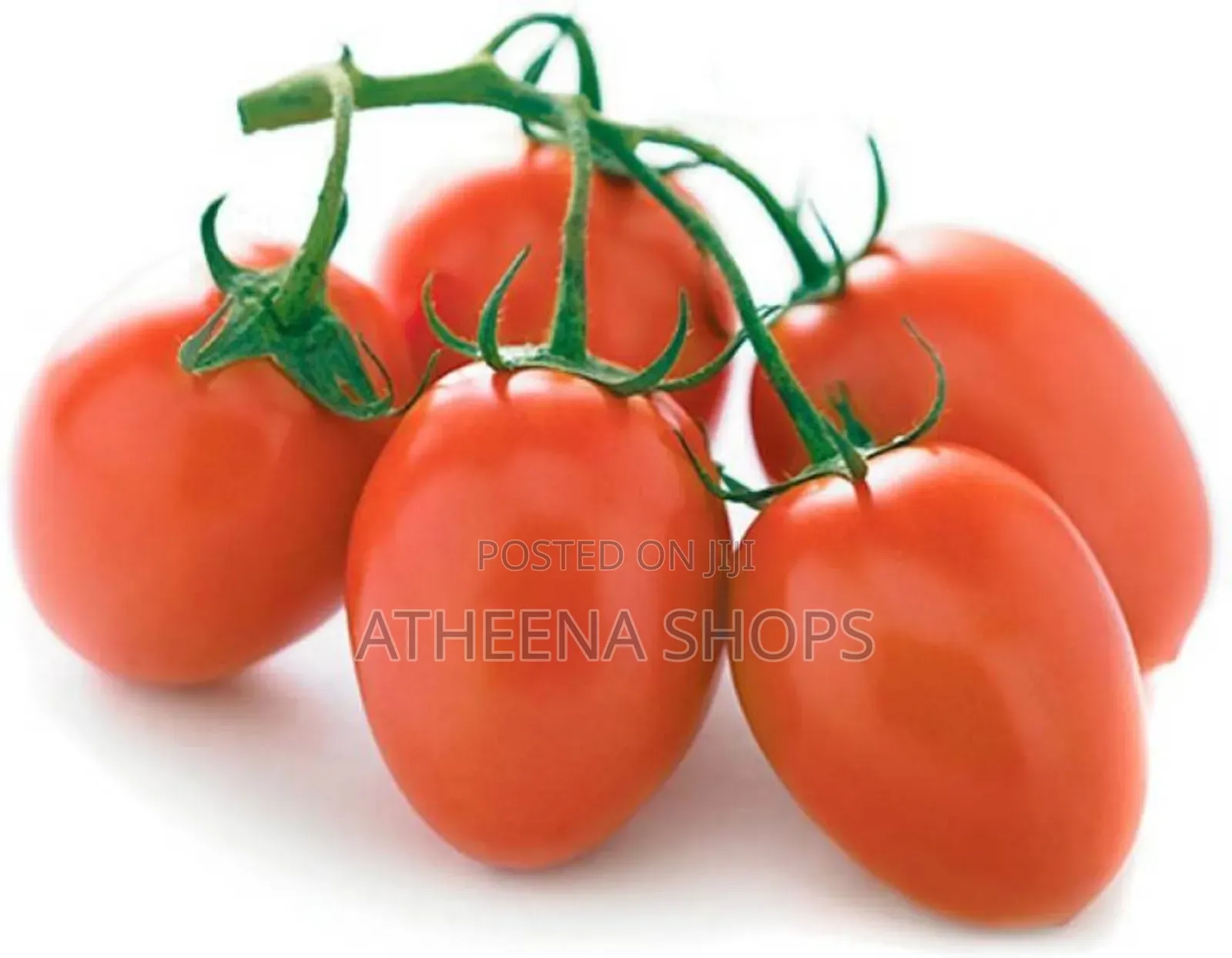 Roma Tomato Seeds
