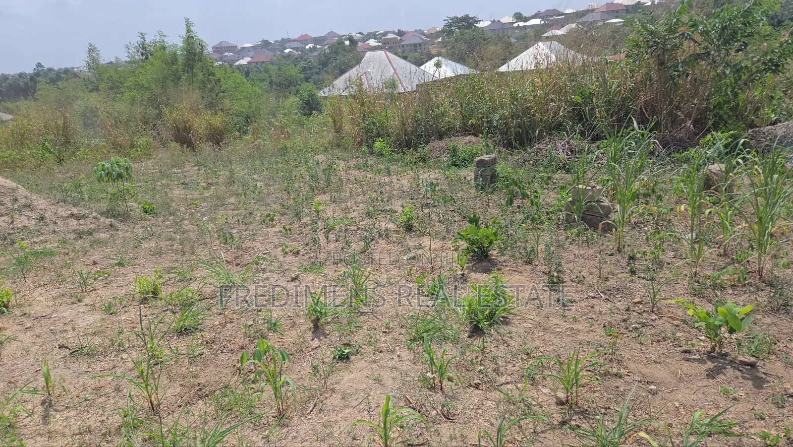 Half Plot at Maase-Adubinso for Sale