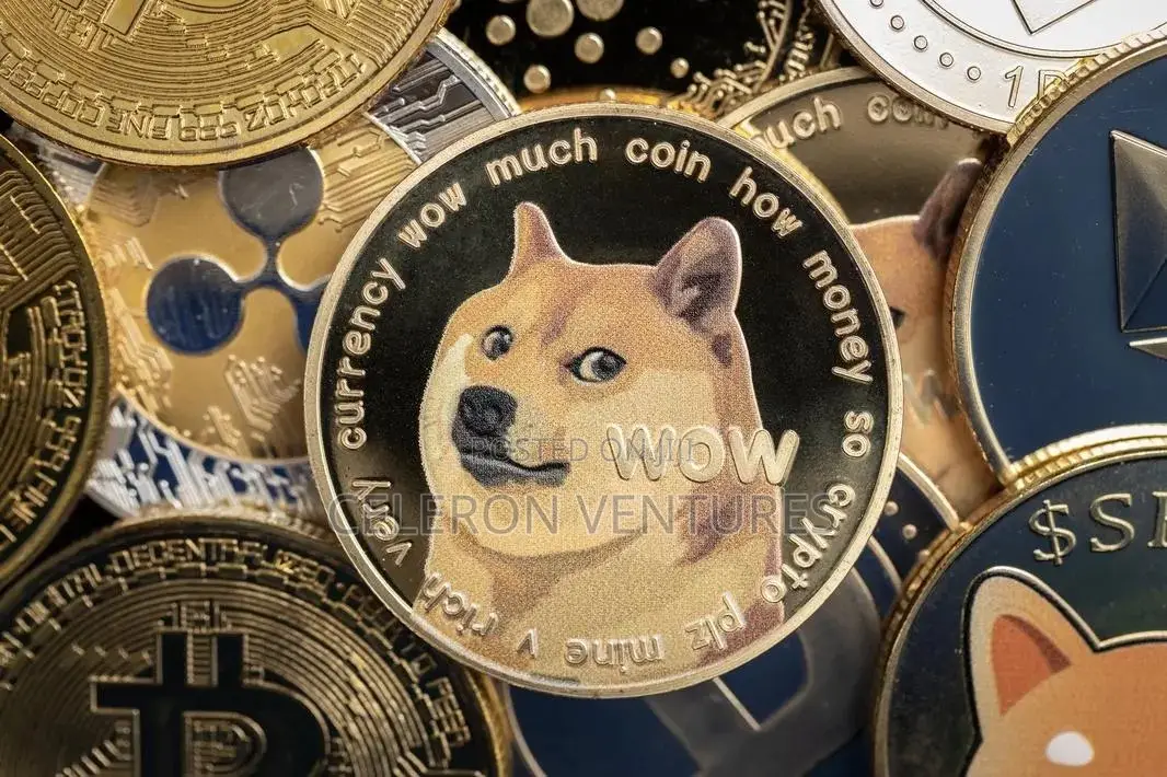 Dogecoin (DOGE).We Buy And Sell