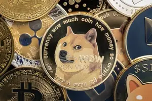 Dogecoin (DOGE).We Buy And Sell