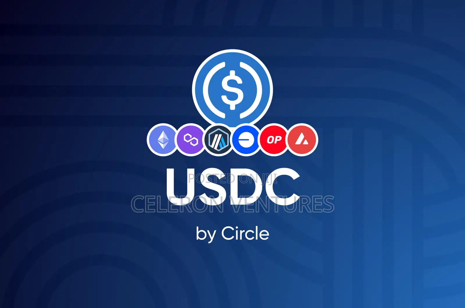 USD Coin (USDC). We Buy and Sell