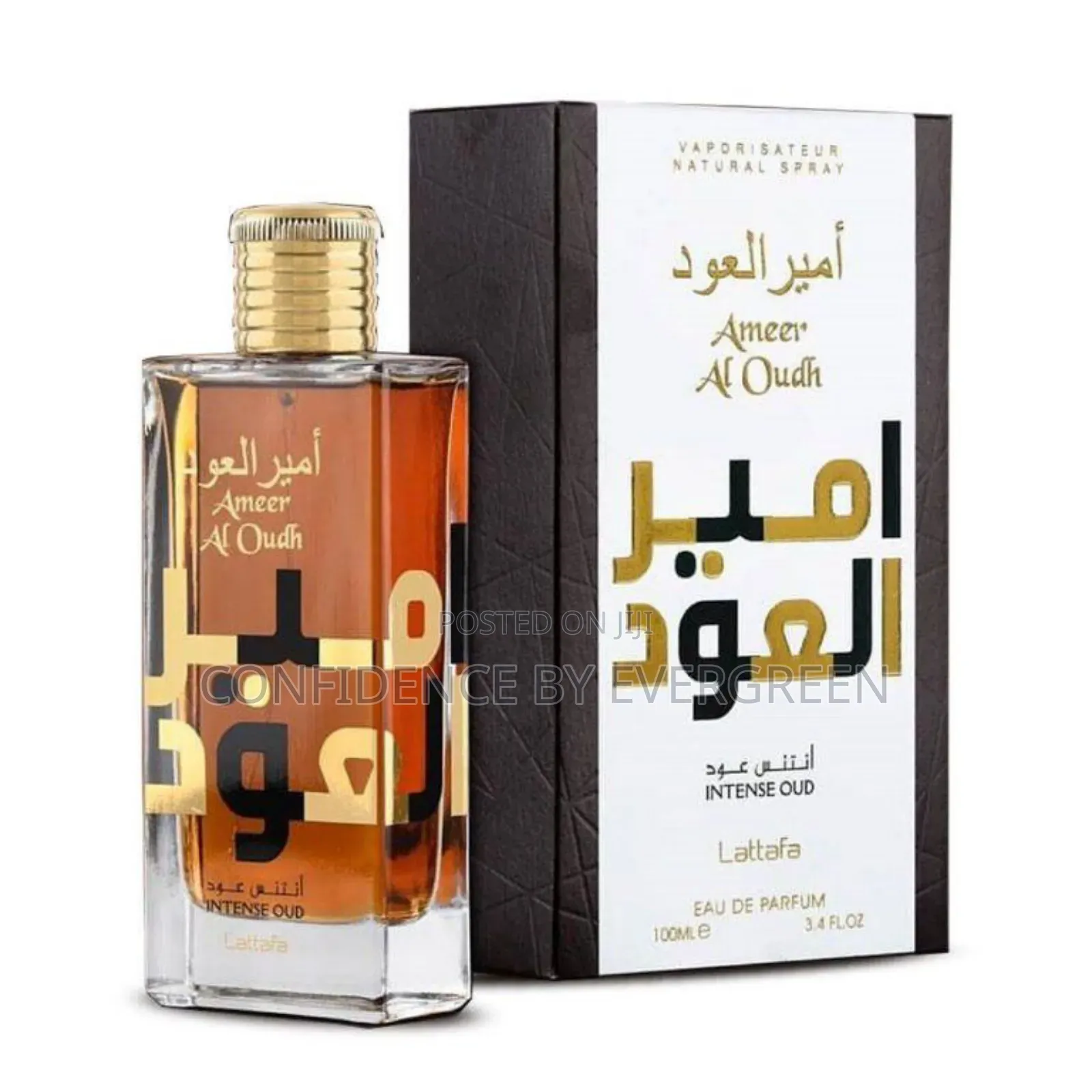 Ameer Al Oudh