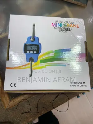 Crane Scales