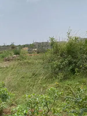 Afienya Asaase Donkomi Land Sales