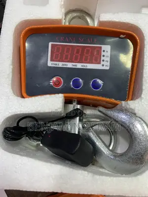 Auto Power Off Crane Scale