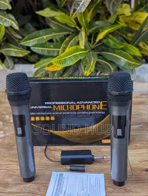 2 Wireless Microphones for Karaoke Parties, Church Performan