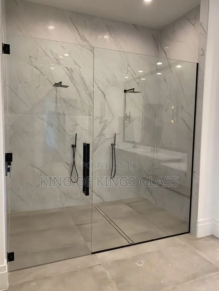 Shower Door