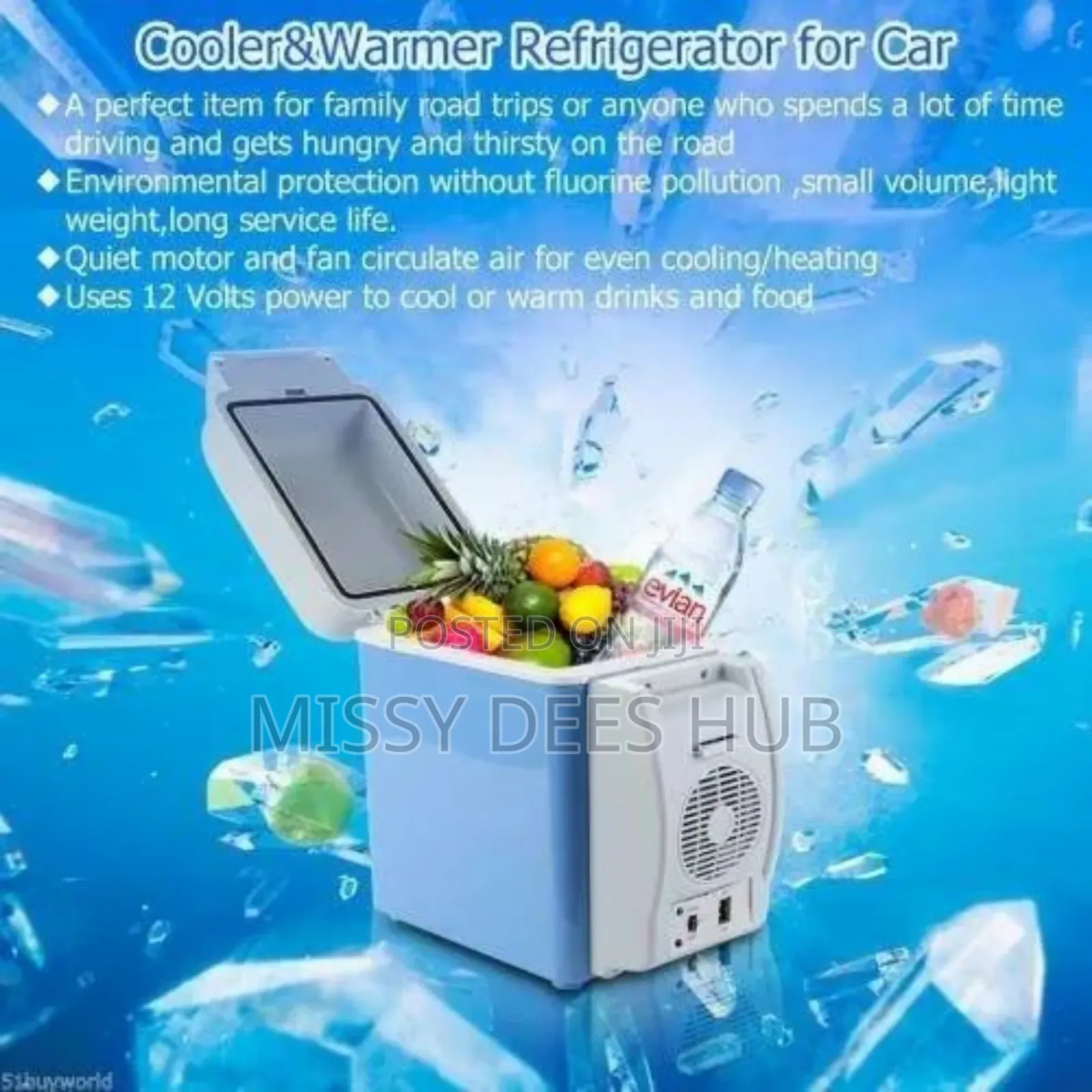Portable Car Refrigerator