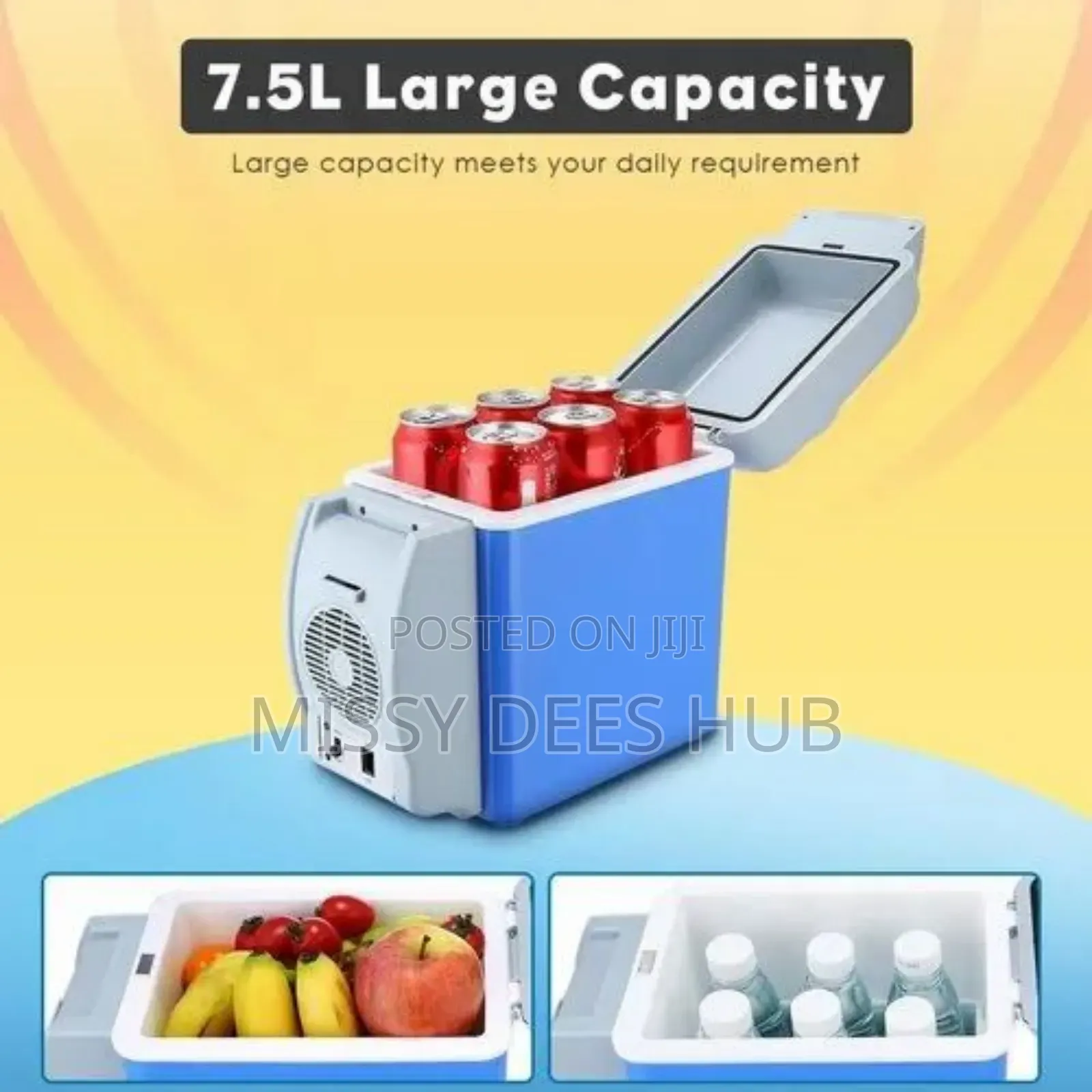 Portable Car Refrigerator