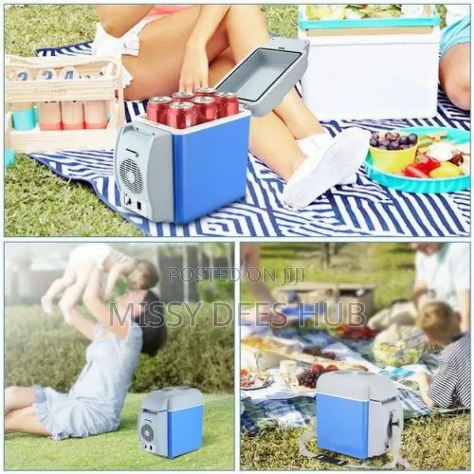 Portable Car Refrigerator