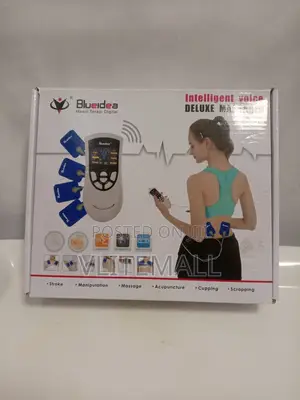 Intelligent Voice Deluxe Massager