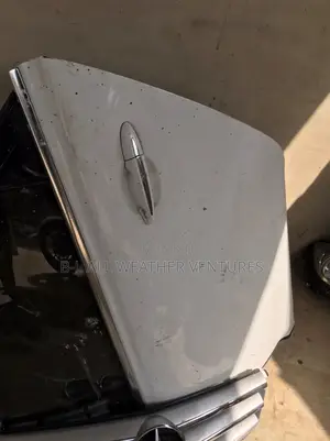 Mercedes W204 Doors