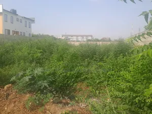 Land for Sale at East Airport