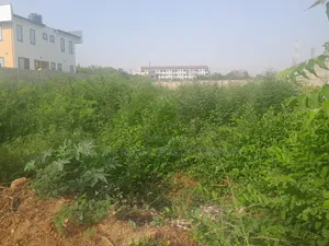 Land for Sale at East Airport