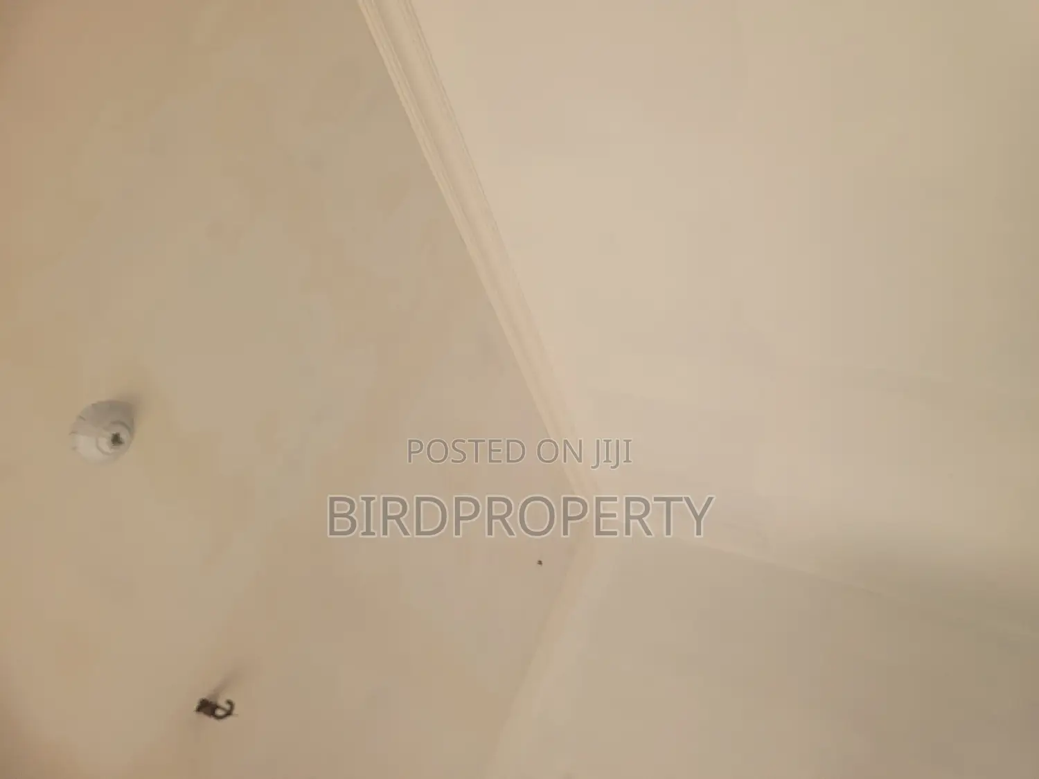 1bdrm Apartment in Birdgroup, Abelemkpe for rent