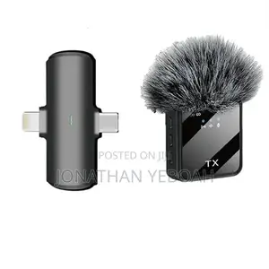 2 in 1 Wireless Microphone
