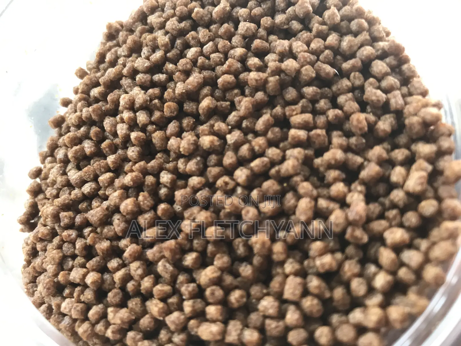 Fish Feed Available for Sale