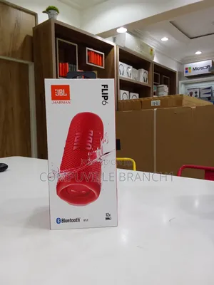 JBL Flip 6