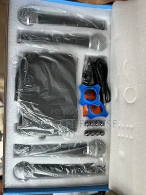 4 in 1 Cordless Microphone for Sale Wx800