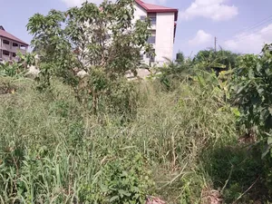 Kumasi Tafo Asenua Land for Sale