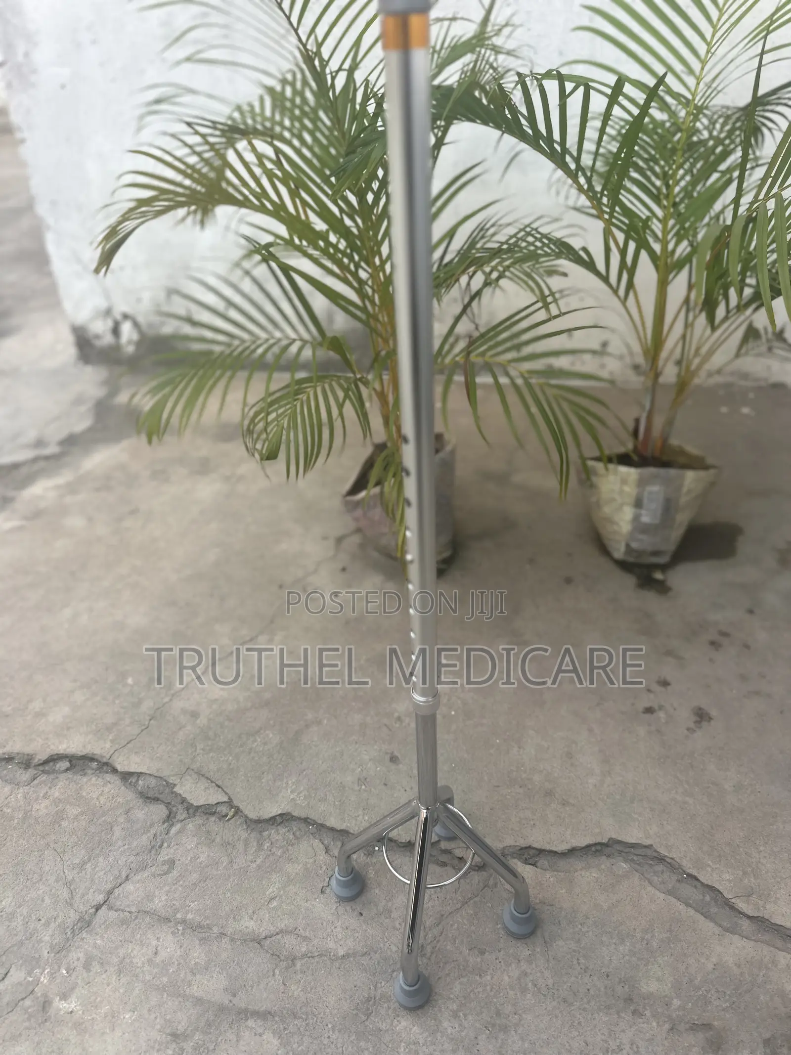 Walking Stick (Quade Cane)