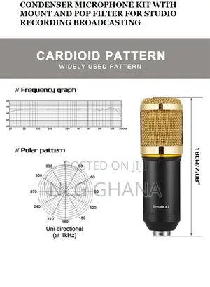 Condenser Microphone KIT With Mount And Pop Filter For Studi